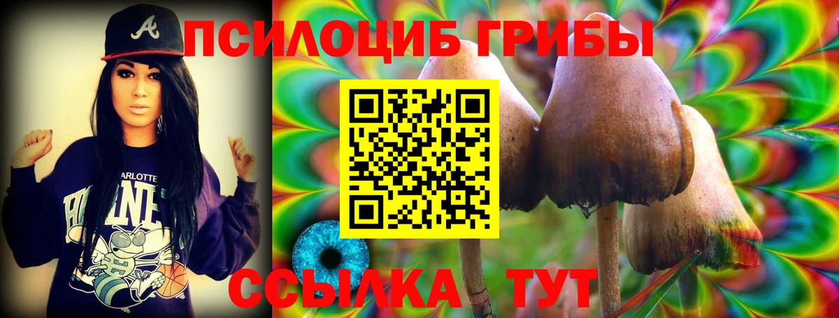 Галлюциногенные грибы Cubensis  Вход с VPN  Среднеуральск 